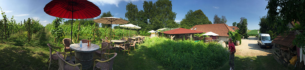 Terras Wijnhoeve De Colonjes