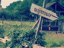 Wijnroute, Groesbeek, Wijndorp