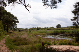 Landschappen in Gelderland