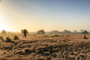Wandelen in Gelderland